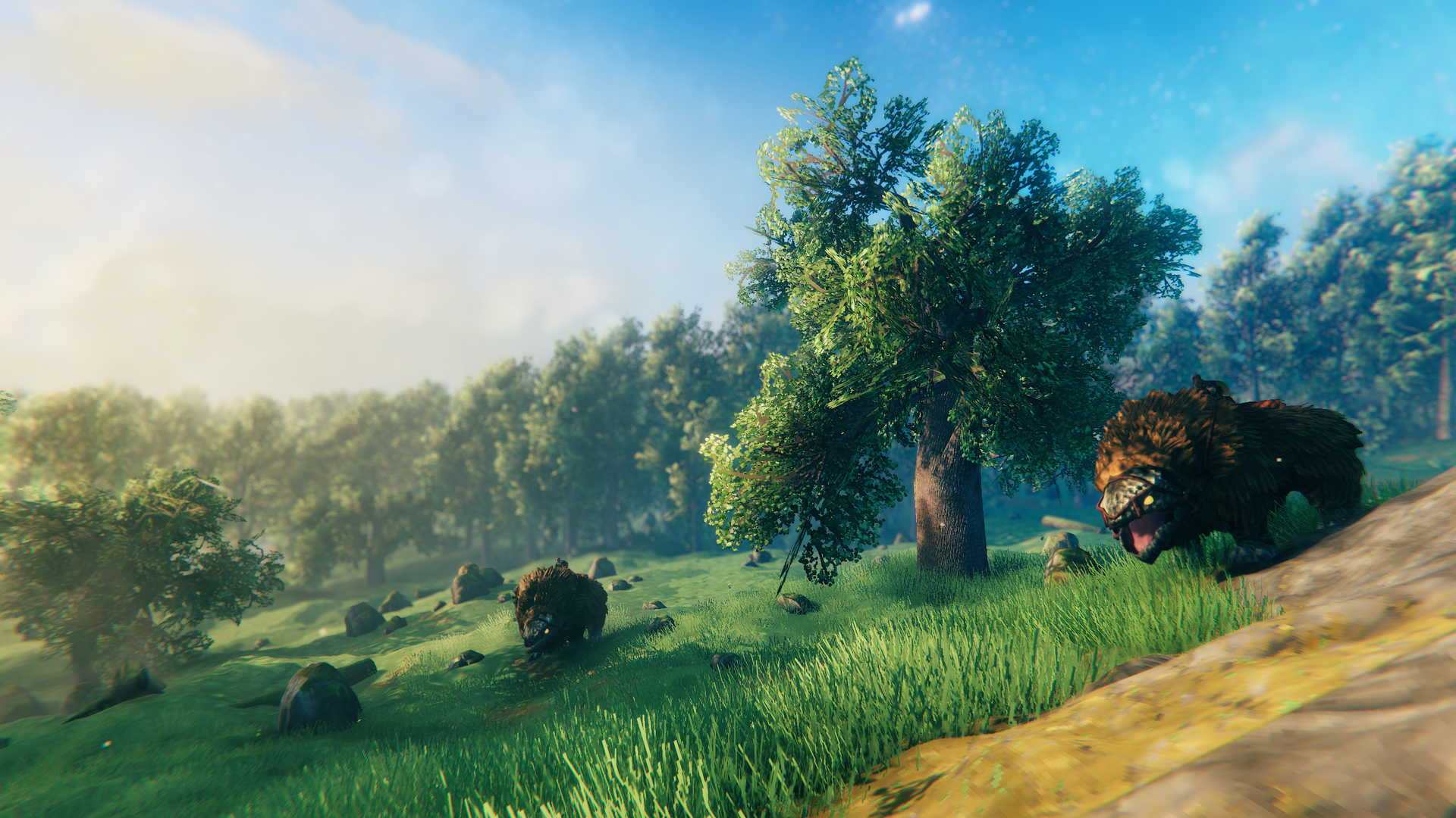 valheim_world